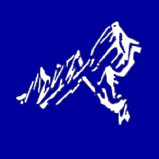 Rocky Mountain Software